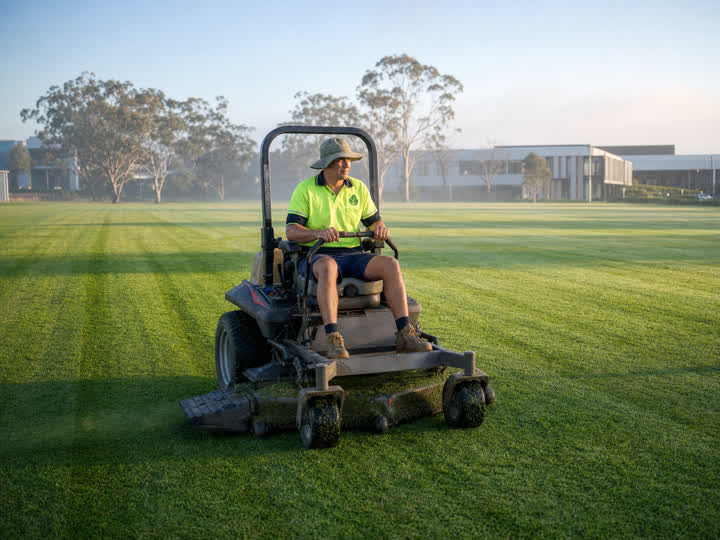 A landscaper laying new turf in a suburban backyard